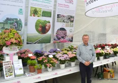 Kees Eveleens, Horteve Breeding. In hortensia breeding the focus is mostly on three points: more compact growth, shelf live and budding.